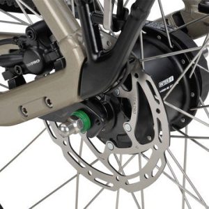 BATAVUS Finez E-Go Power Exclusiv, Champagne Goud Glans