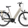 BATAVUS Finez E-Go Power Exclusiv, Champagne Goud Glans