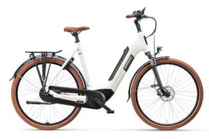 BATAVUS Altura E-Go Power Pro N5, Lichtgrijs