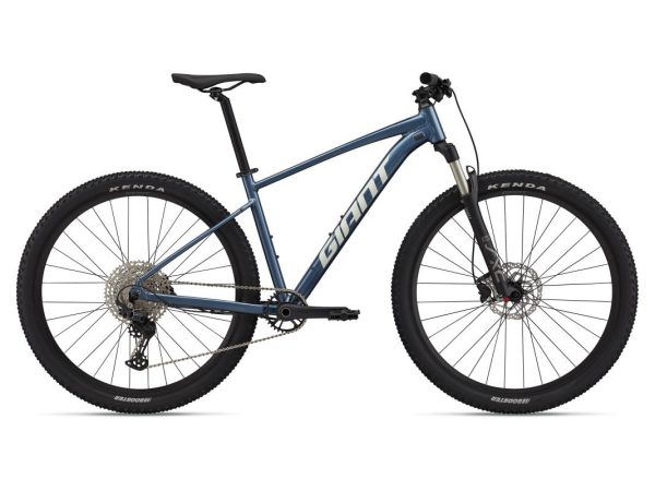 GIANT Talon 29er, Blue Ashes