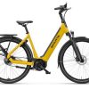 SPARTA D-Rule Energy BES-3 Dames Broom Yellow Matte 53cm 2023