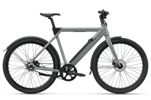 Raleigh Raleigh One Heren SAGE GREY 58cm 2025